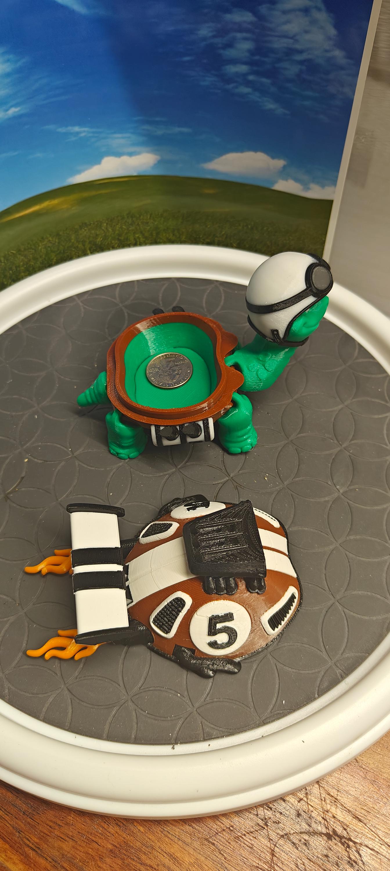Racing Tortoise Toy Turtle with Removable Shell Storage