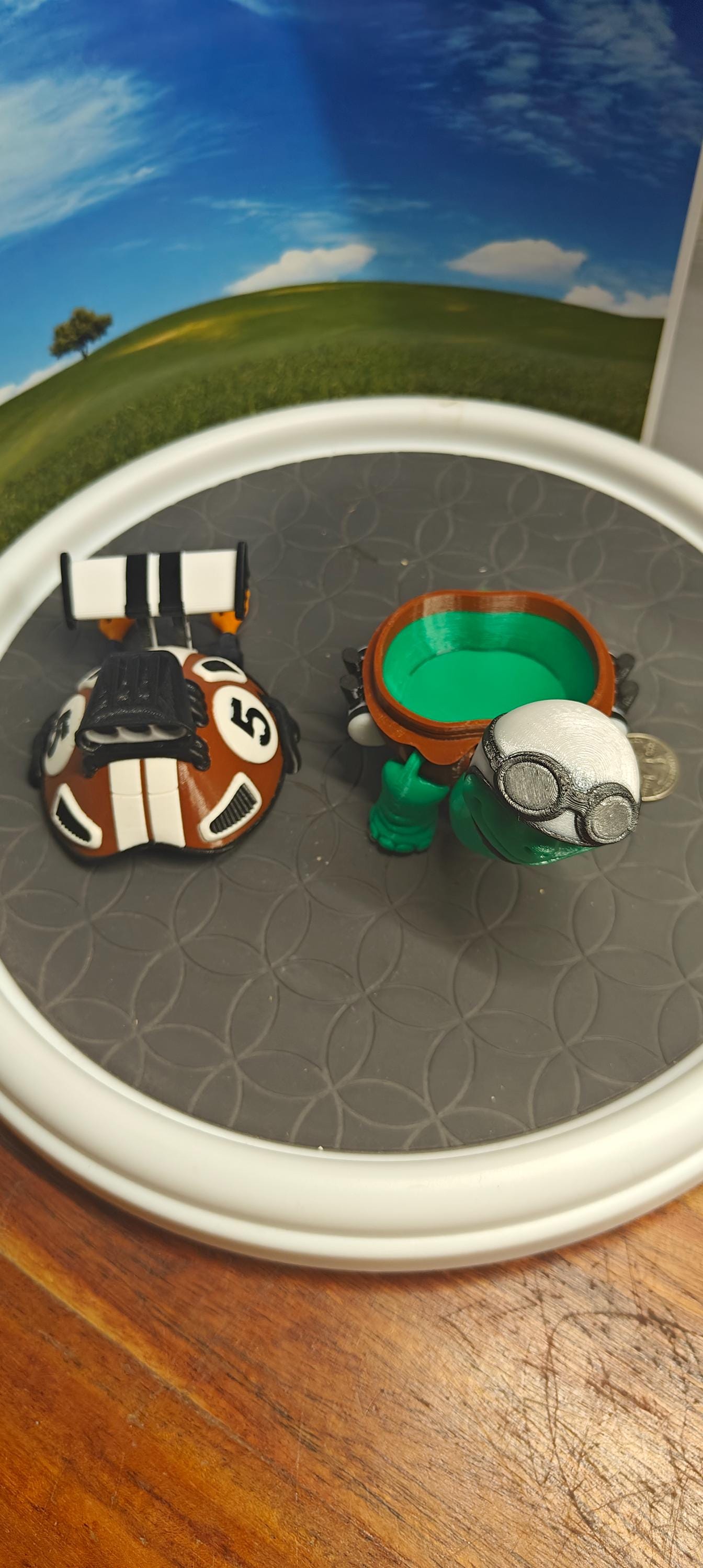 Racing Tortoise Toy Turtle with Removable Shell Storage